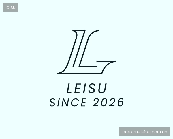 认识leisu公司